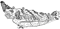 Перевалы Цухбун, Игнатенко, Мосота - северный склон